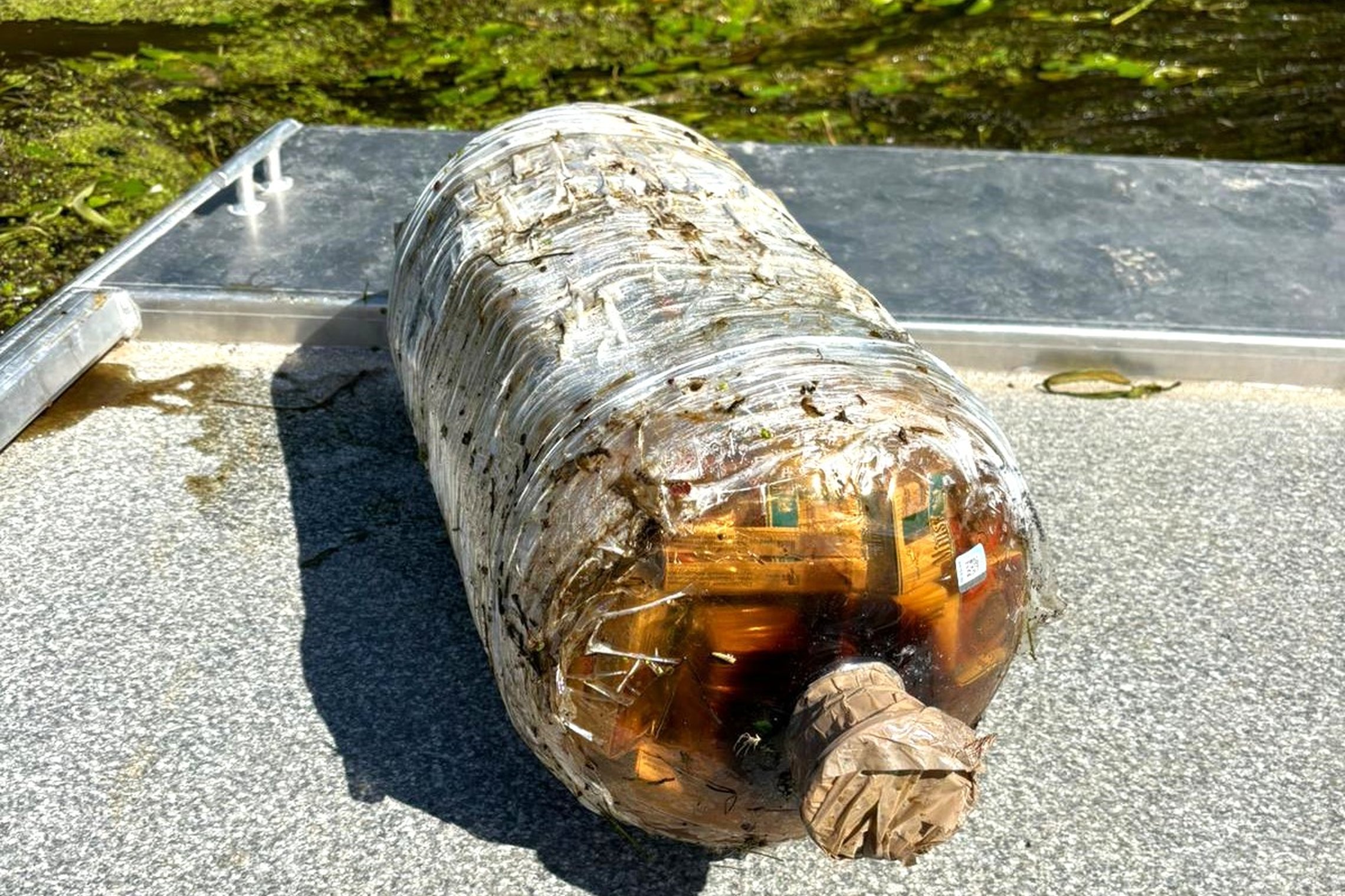Iliustracija
