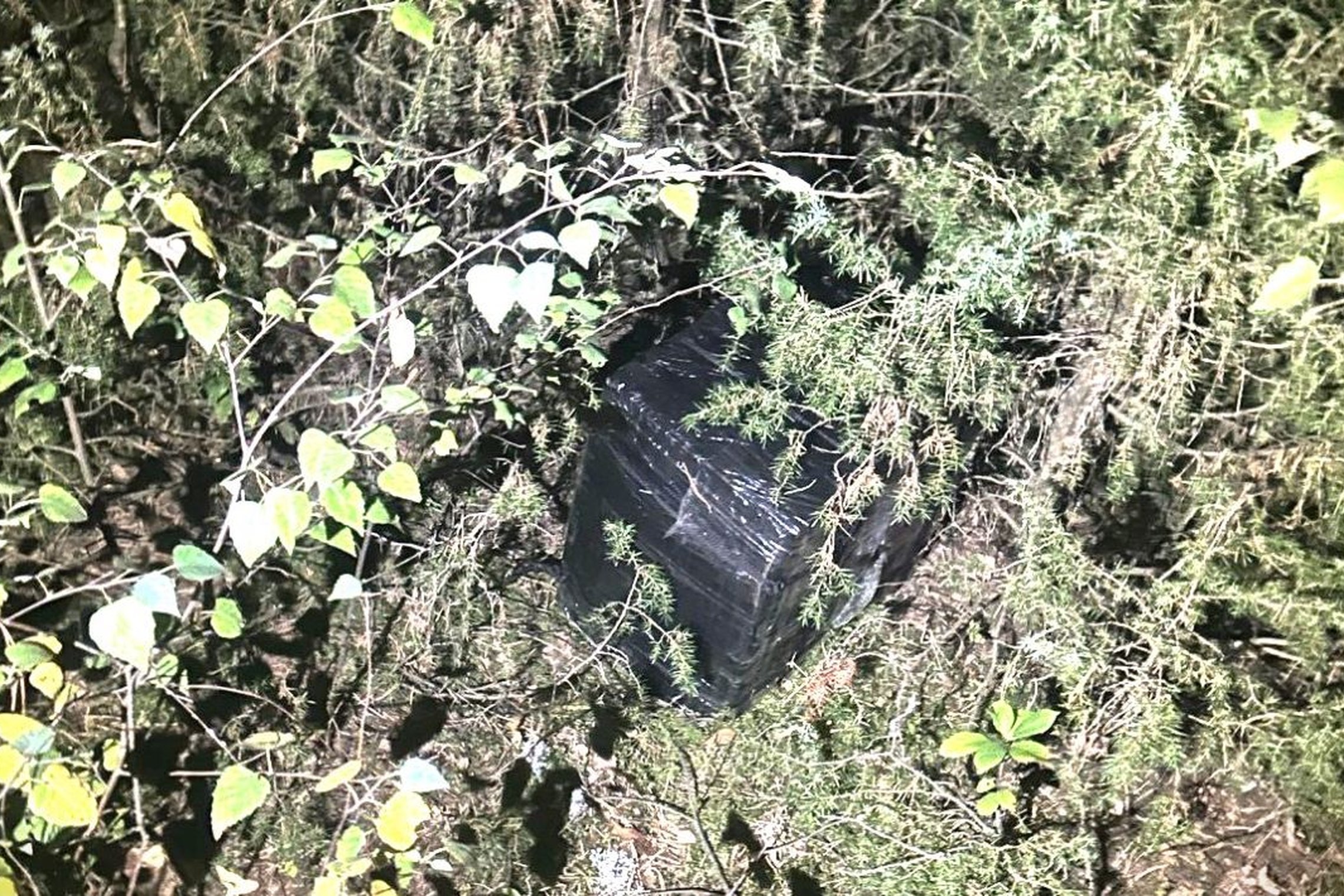 Iliustracija