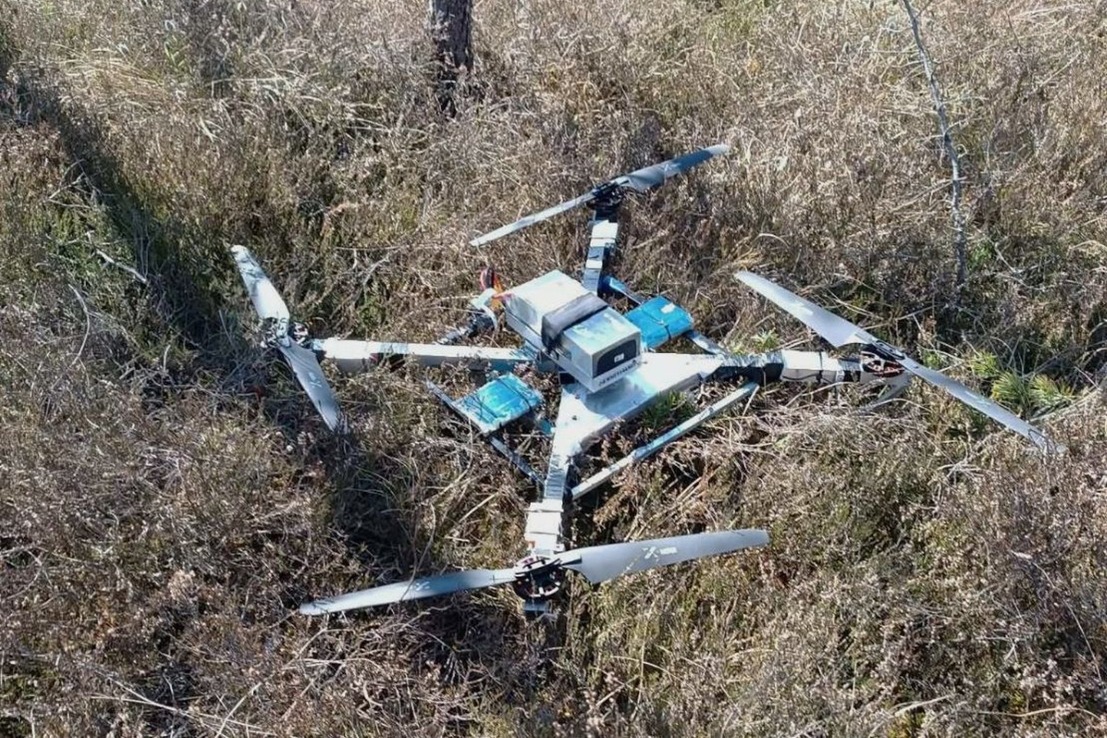 Iliustracija