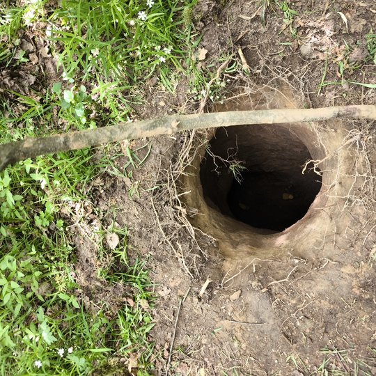 Iliustracija