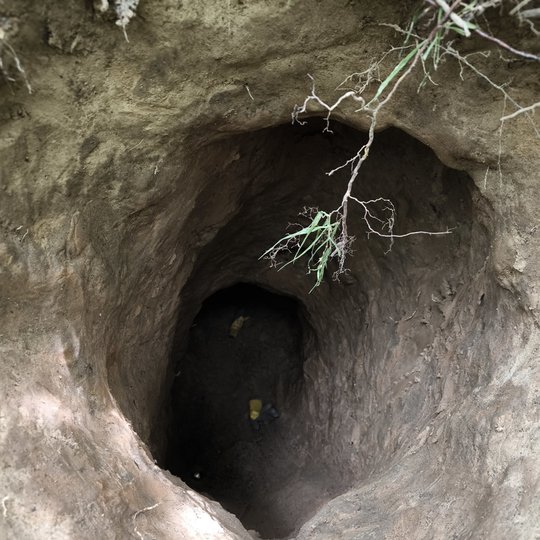 Iliustracija