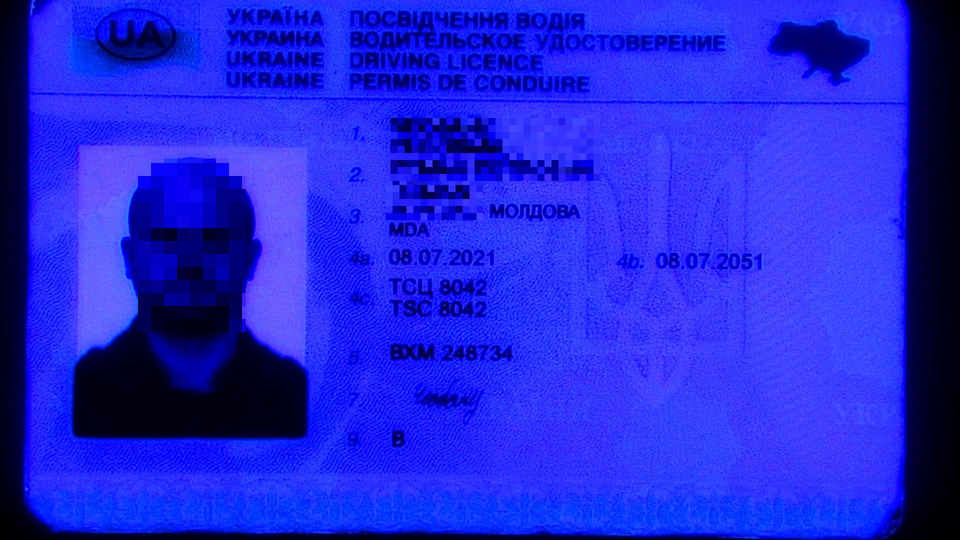 20231010 klast-Kalv--pix.jpg