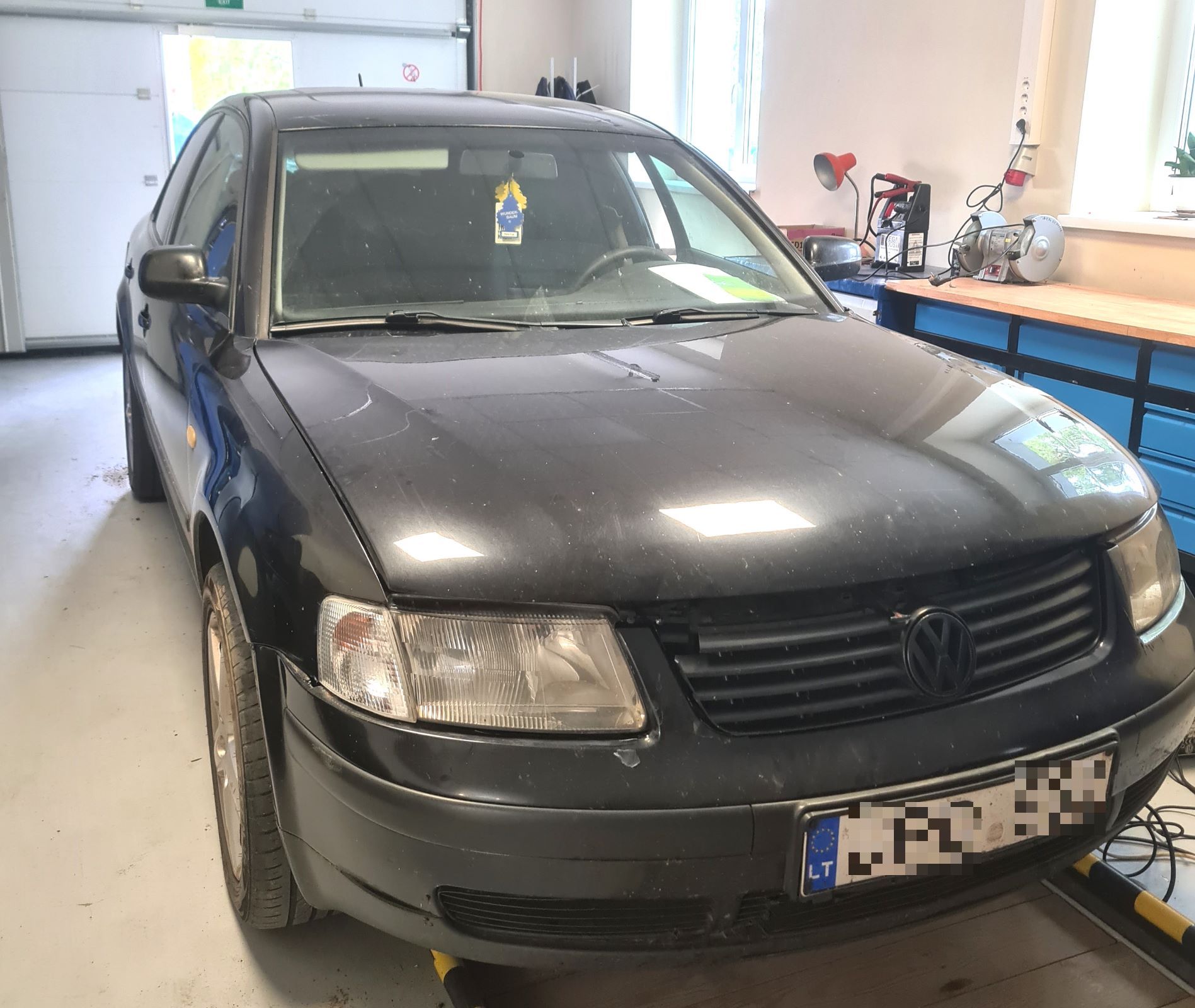 20231004 cig-Gint-Žag-5--pix.jpg