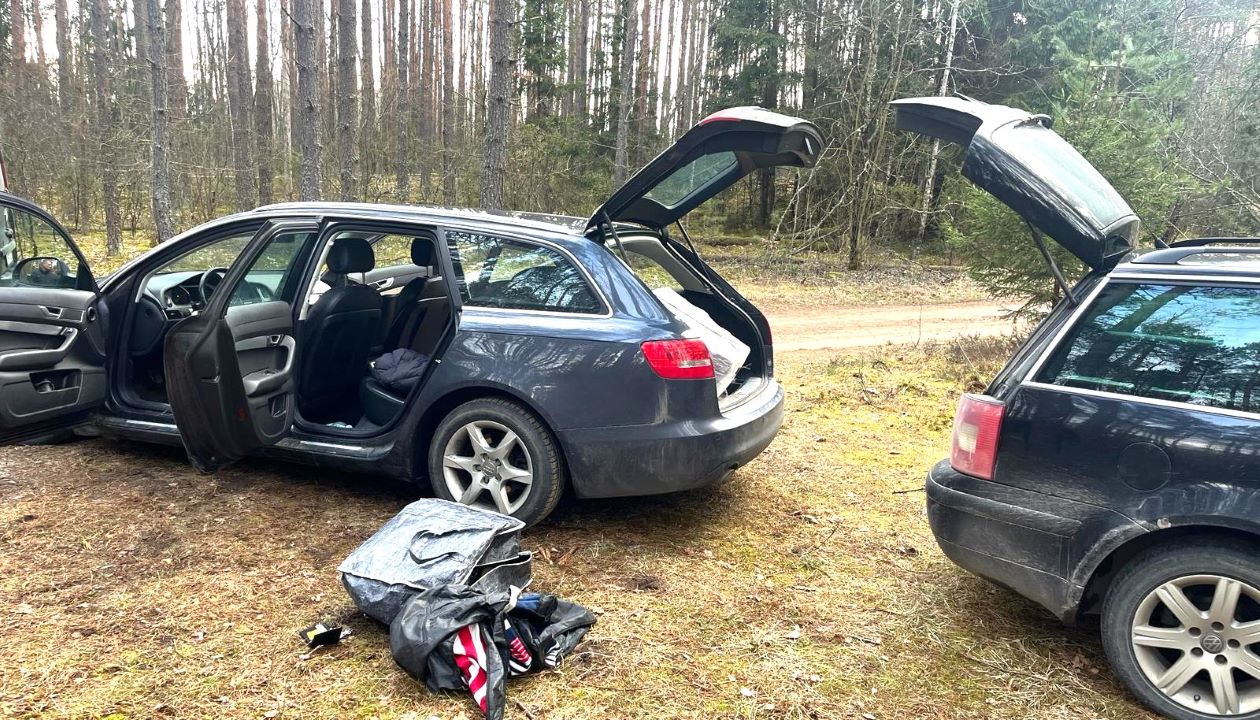 20240325 cig-Šalč--.jpg