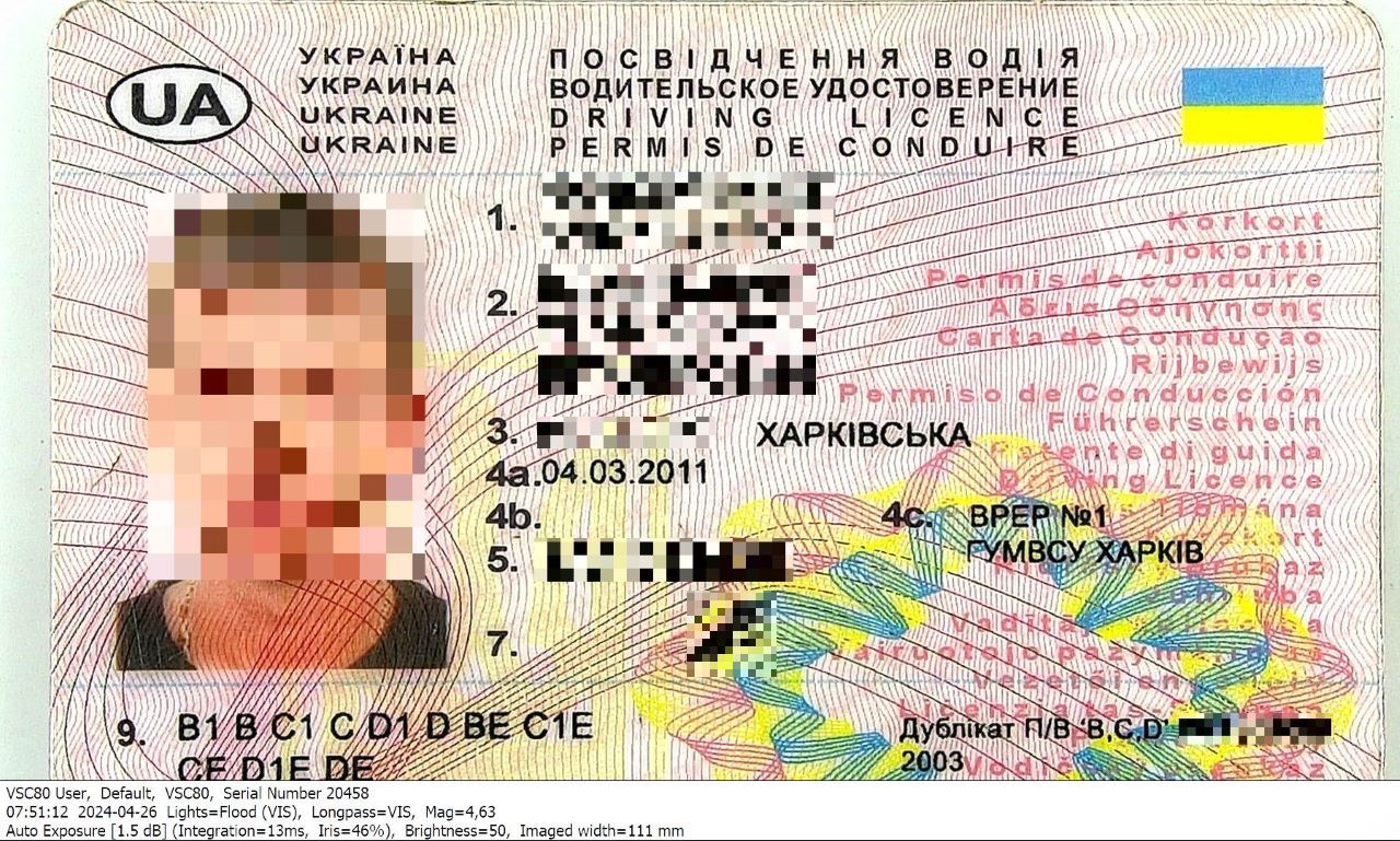 20240429 klast-Kalvar-pix--.jpg