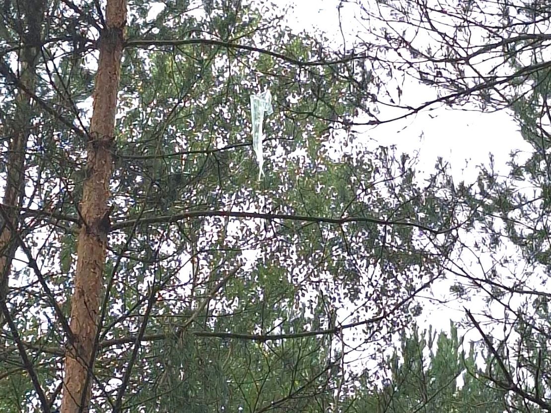 202408 cig-Varėna-3--.jpg