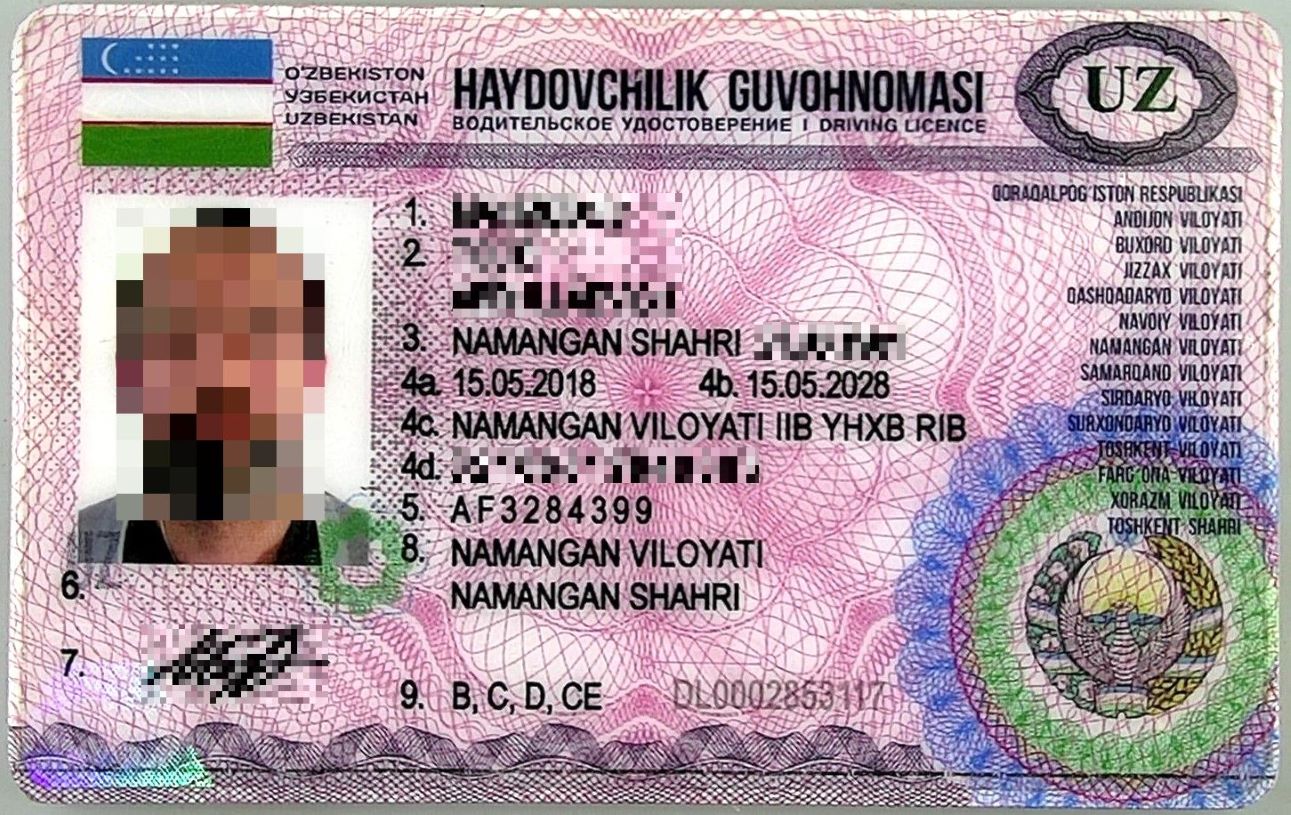 20240911 dok-Kalvar-pix--.jpg