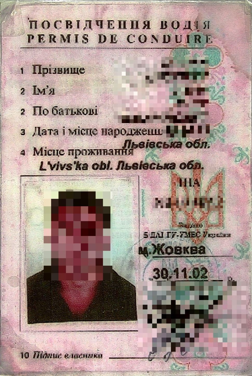 20250224 dok-Kalvar-2-pix--.jpg