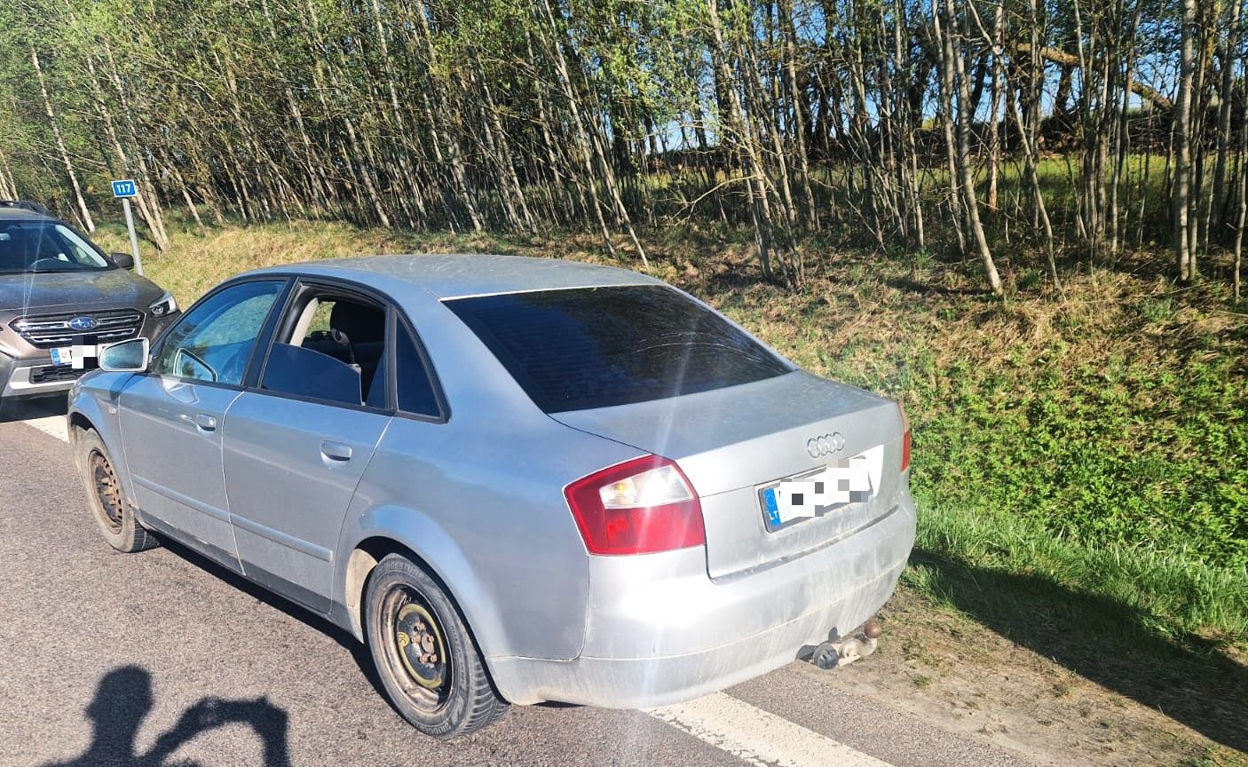 20250424 cig-Anykšč-2-pix.jpg