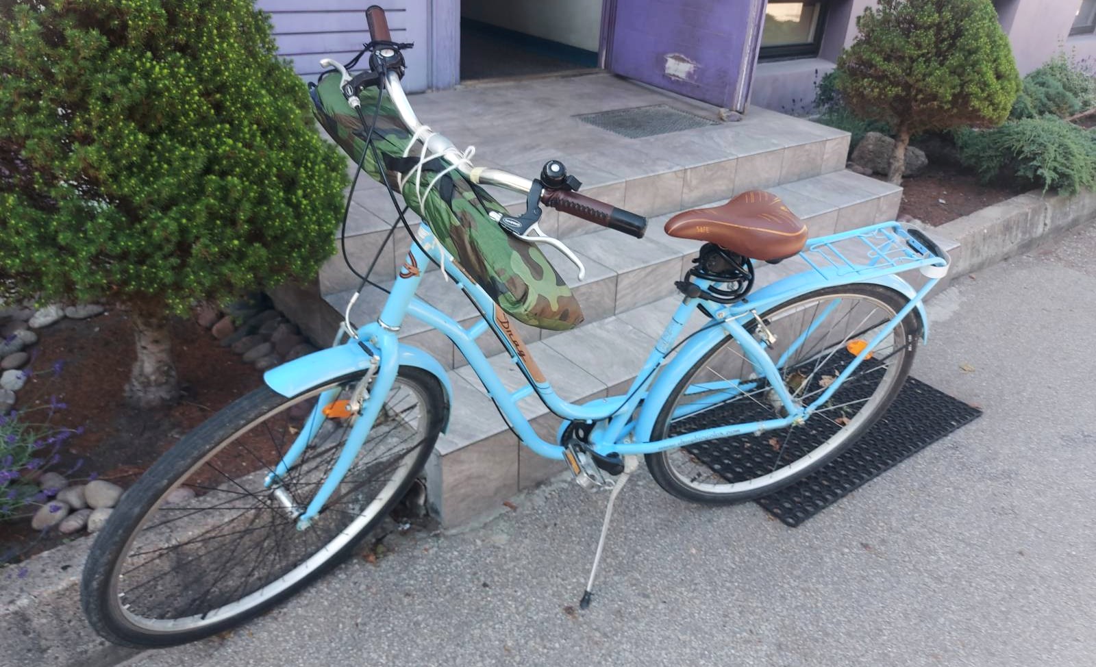 20250707 migr-Palanga.jpeg
