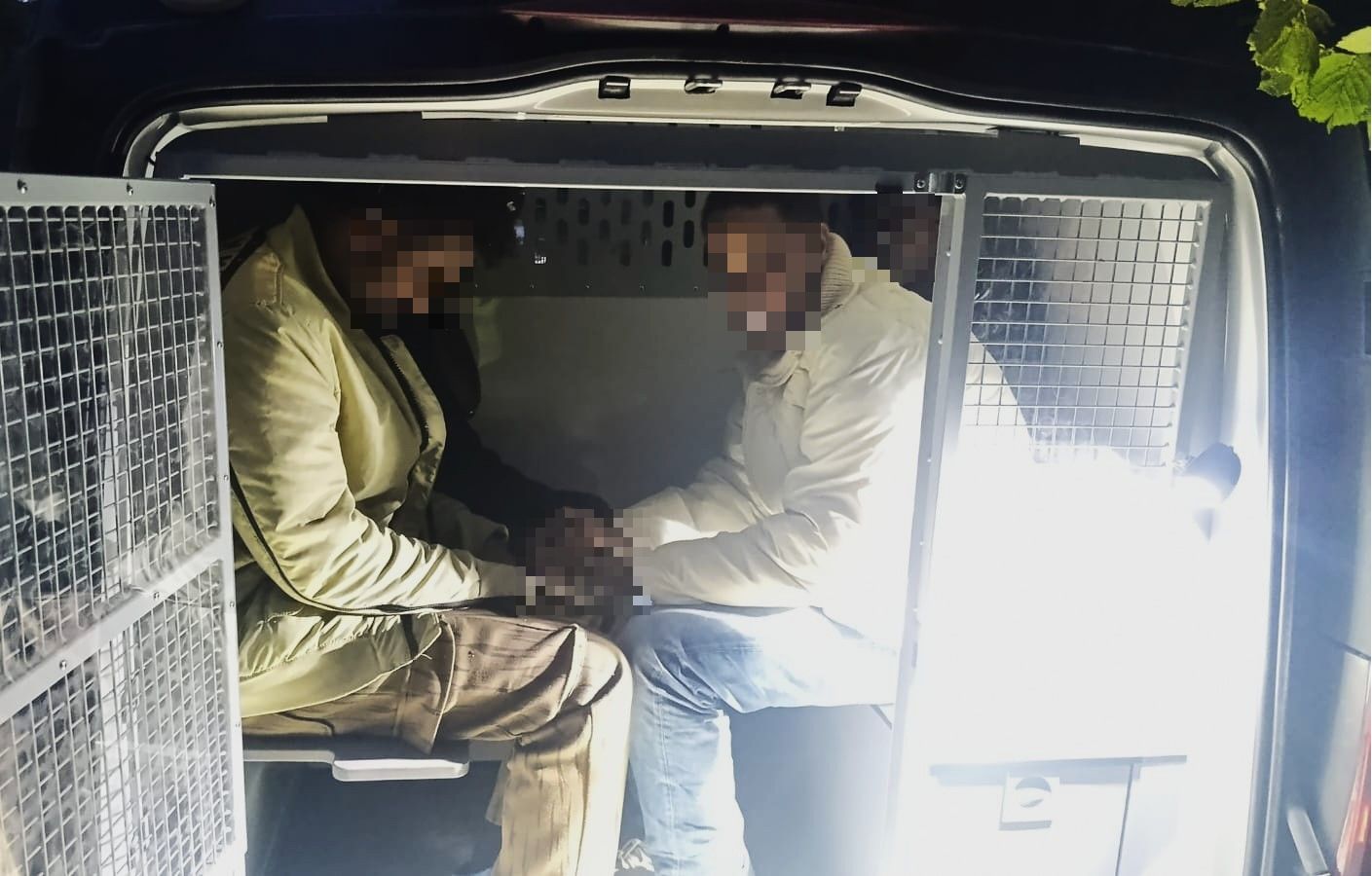 20250910 migr-Kalvar-1-pix.jpg