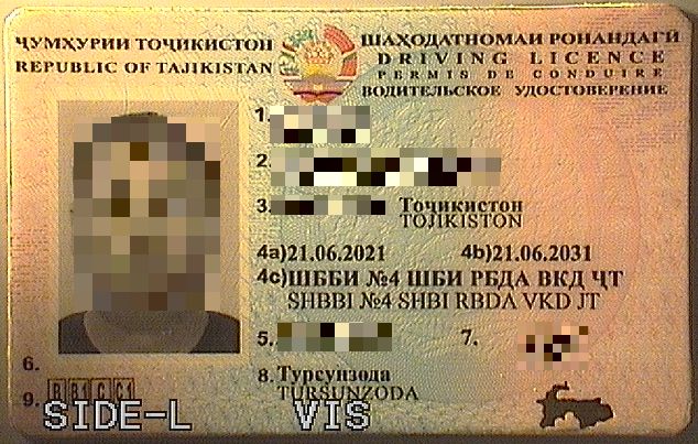 20250922 dok-Pasval-3-pix.jpg