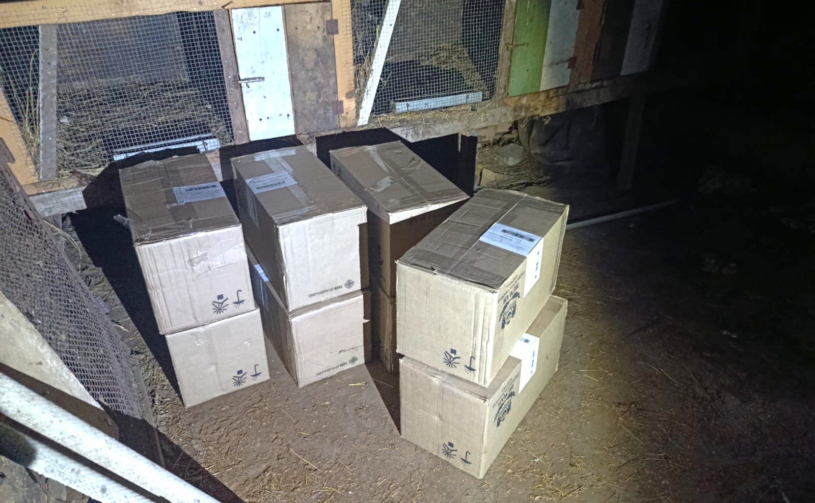 20251007 cig-Lazd-3.jpg