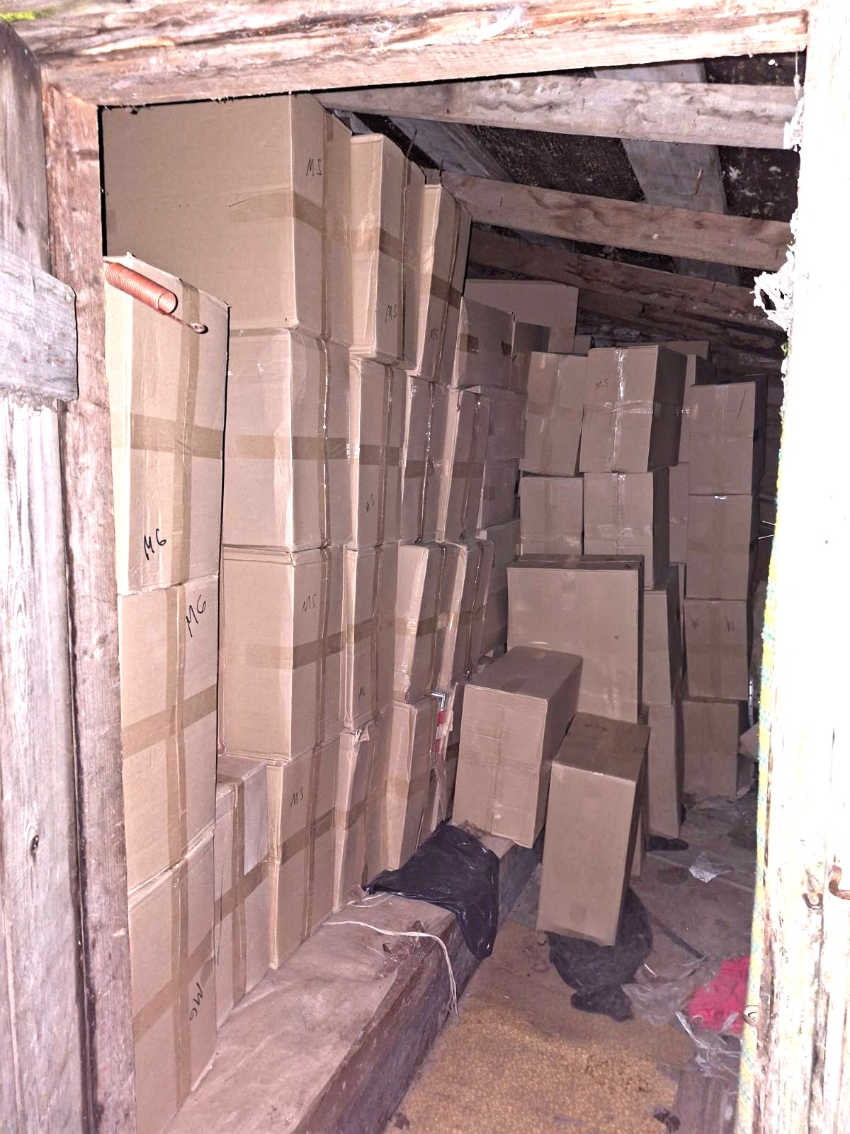 20251105 cig-Mažeik-2.jpg