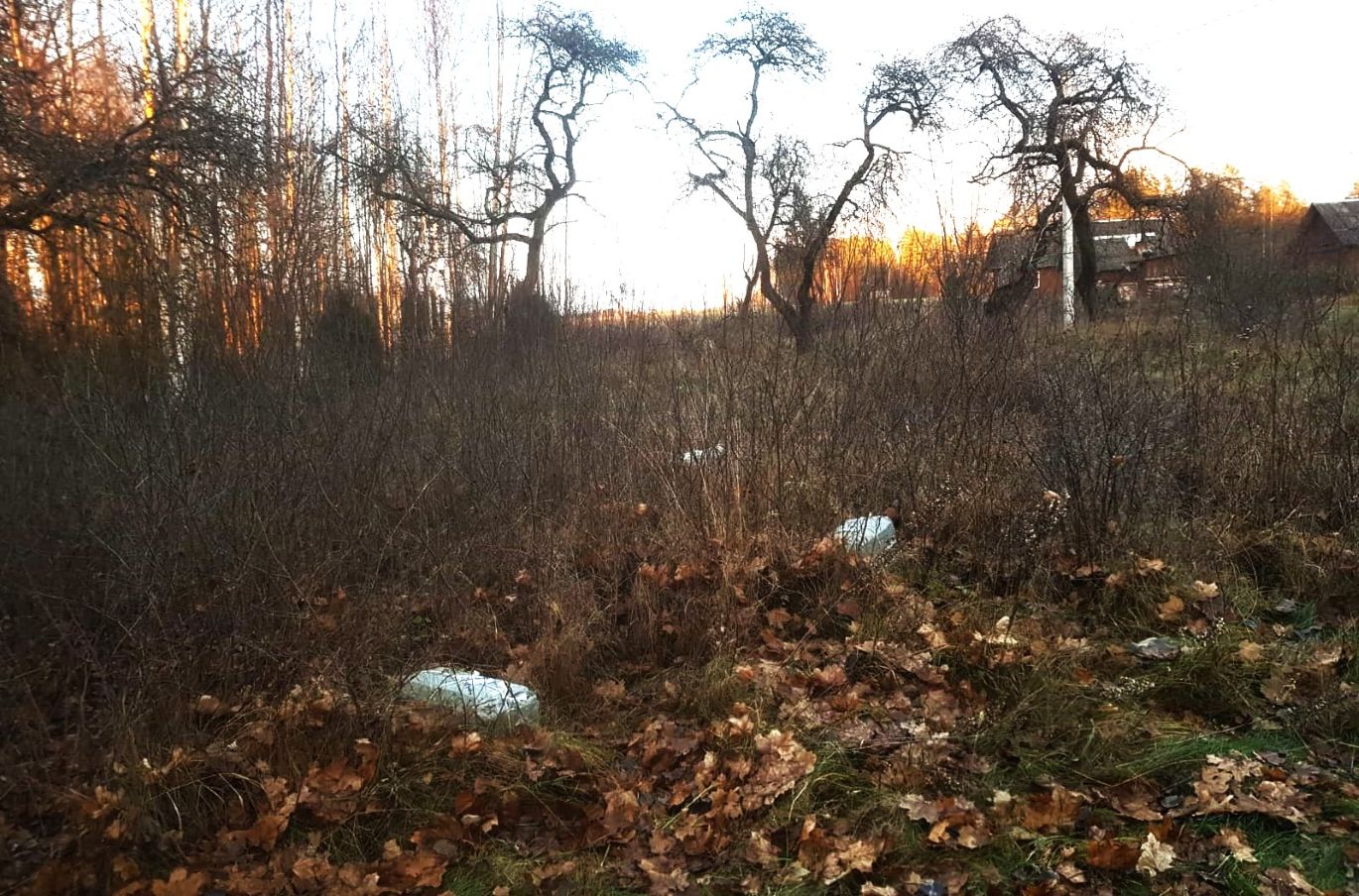 20251125 cig-Šalč.r-2.jpg