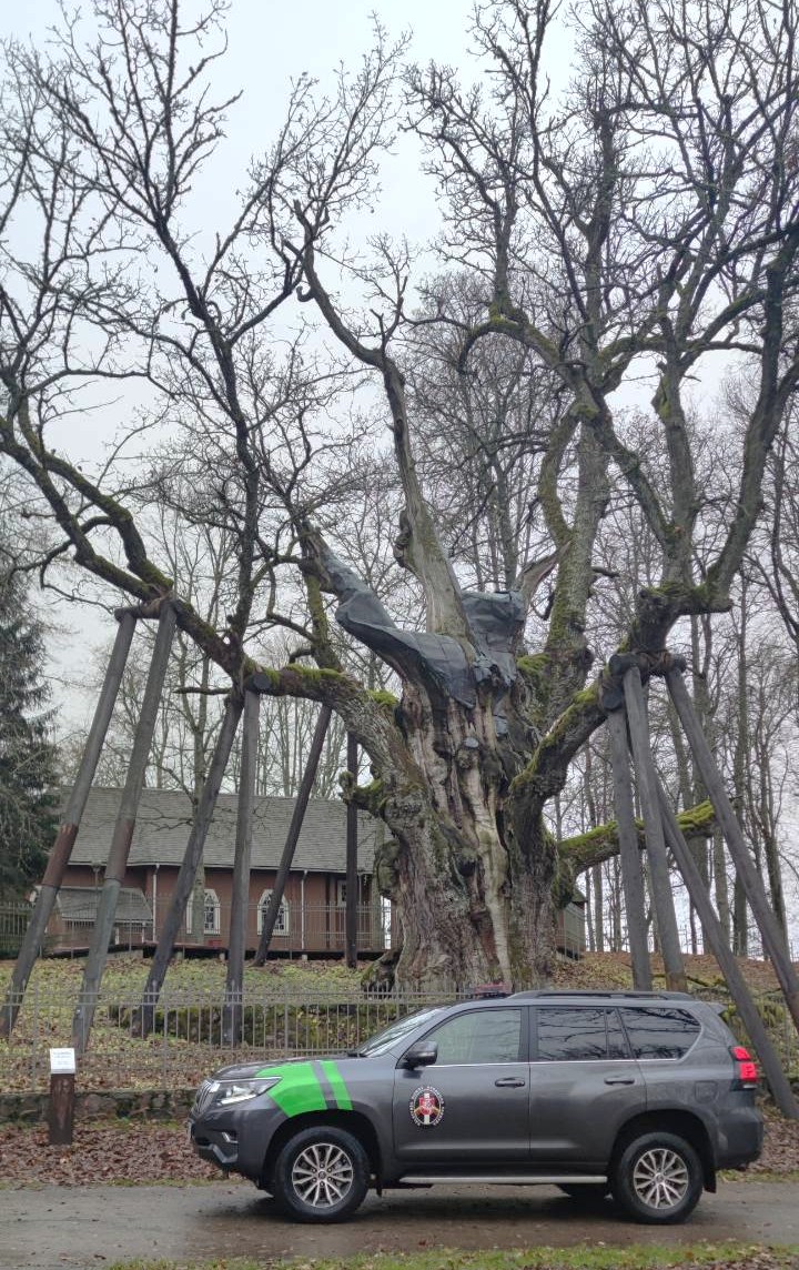 20251208 Puškų PU-7.jpeg