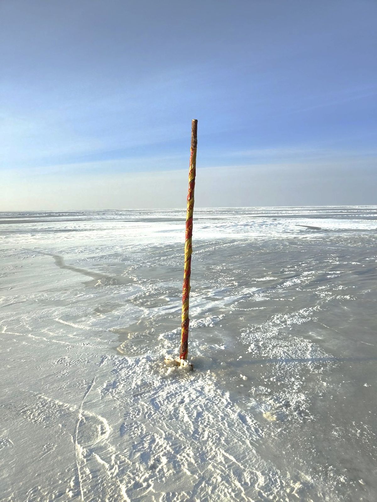 20260130 stintapūkis-2.jpg