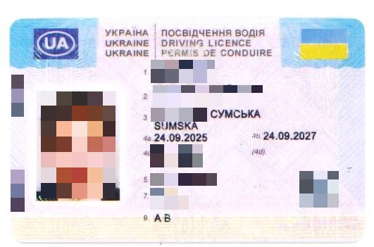 20260202 dok-Pasval-pix.jpg