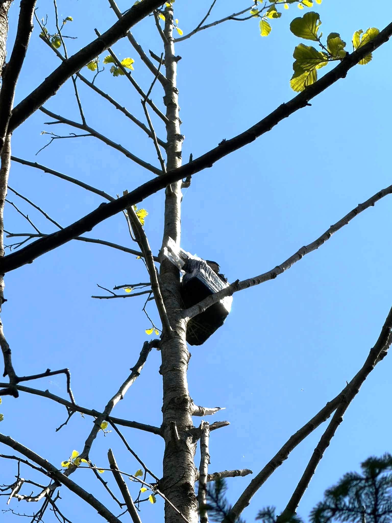 20260525 cig-Šalčin-3.jpg