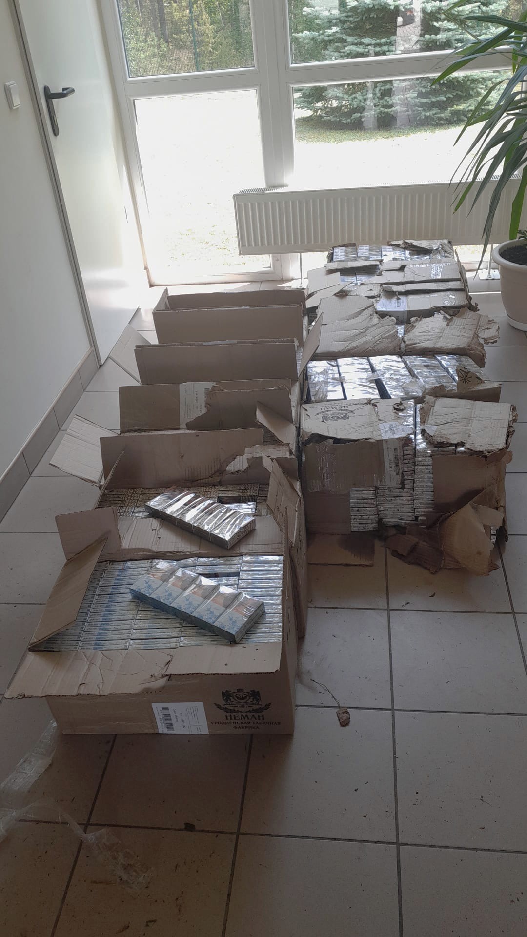 20260720 cig-Drusk-7.jpeg