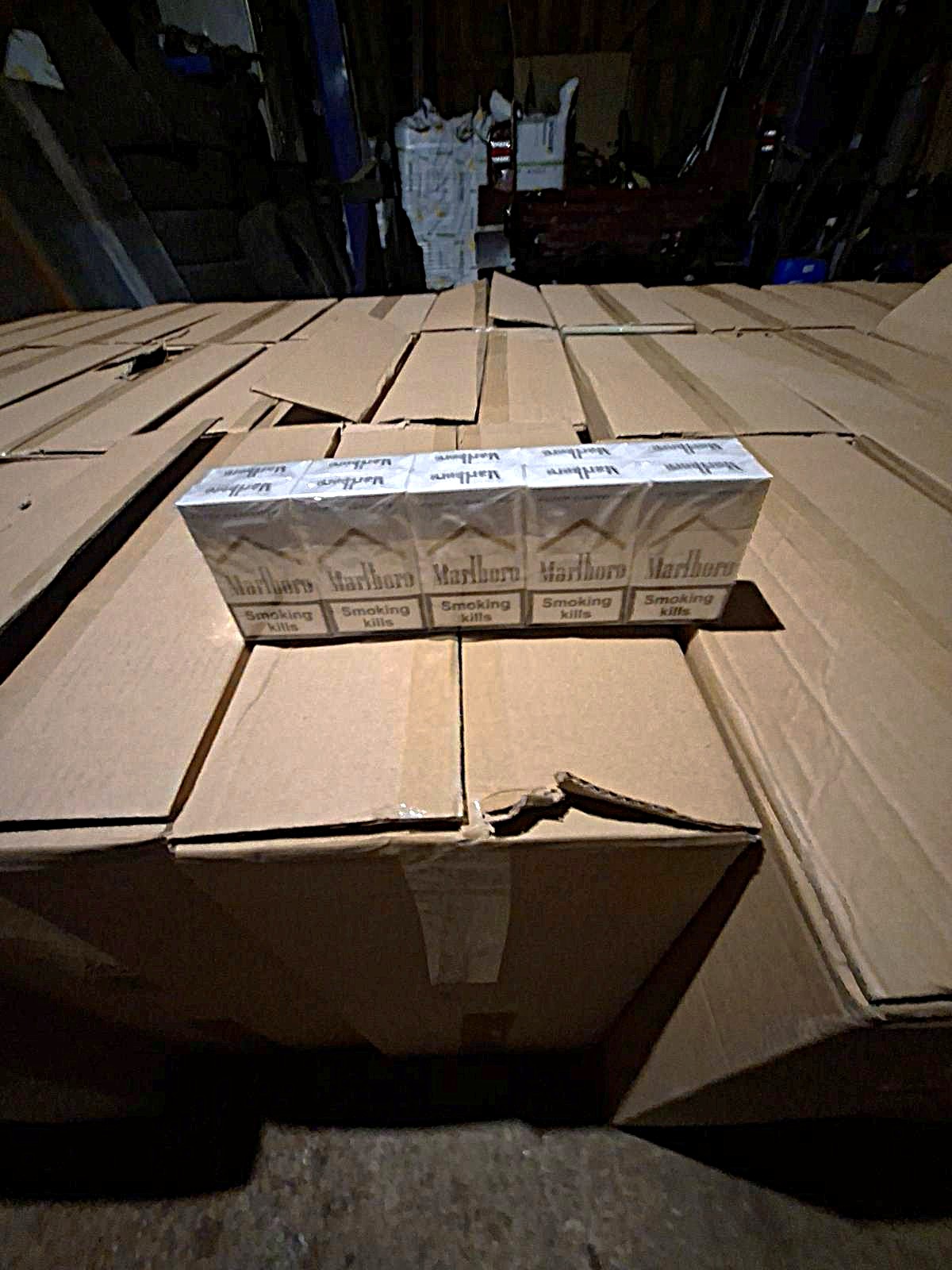 20260930 cig-PakrPPR-5.jpg